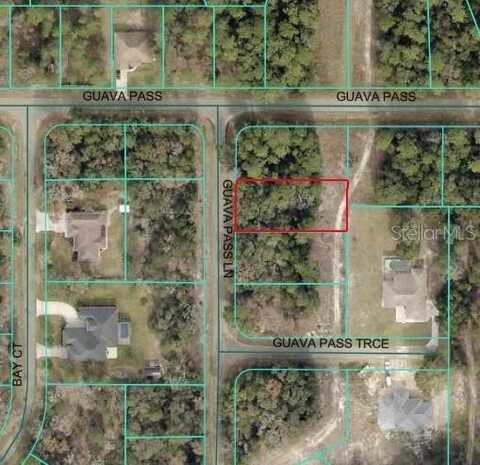 GUAVA PASS LANE, OCKLAWAHA, FL 32179