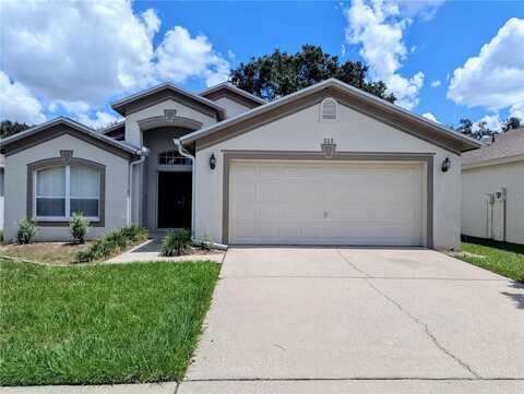 515 ROYAL RIDGE STREET, VALRICO, FL 33594