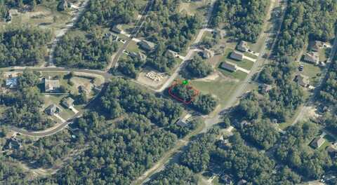 10655 N DRAGONIS DRIVE, CITRUS SPRINGS, FL 34434