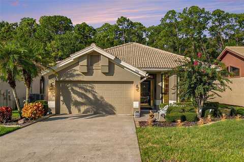 3724 DARSTON STREET, PALM HARBOR, FL 34685