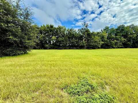 0000 NW 165TH AVENUE, HIGH SPRINGS, FL 32643