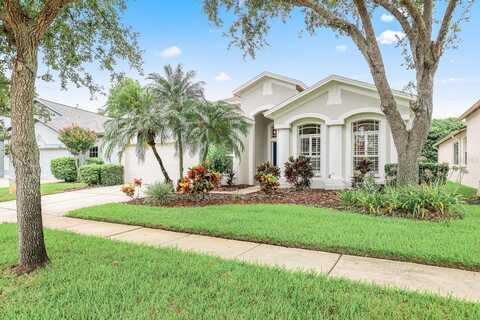 15533 MARTINMEADOW DRIVE, LITHIA, FL 33547