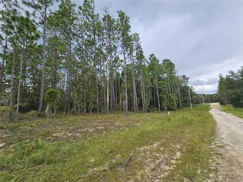 11730 NE 101ST TERRACE, ARCHER, FL 32618