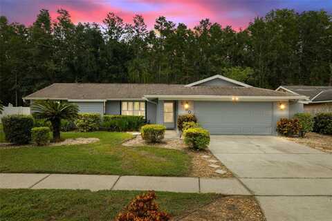 5330 BLACK PINE DRIVE, TAMPA, FL 33624