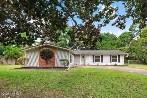 111 Robin Lake Drive, Dudley, NC 28333