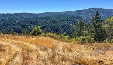 1200 Roberts RD, BEN LOMOND, CA 95005