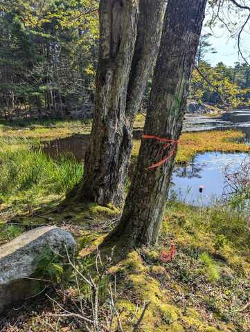 0 Route #144 (Main Road), Westport Island, ME 04578