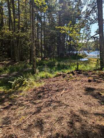0 Route #144 (Main Road), Westport Island, ME 04578