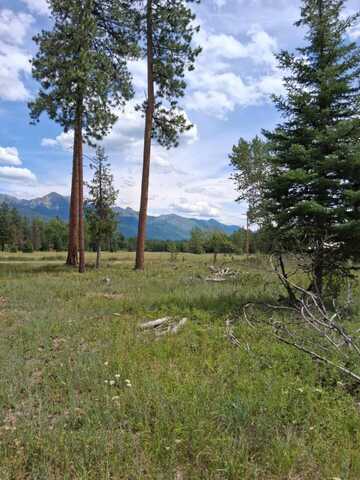 nhn Hollopeter Road, Condon, MT 59826