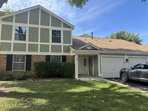 22 Waterbury Lane, Schaumburg, IL 60193