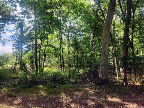 Lot 679 Rollingwood Place, Varna, IL 61375