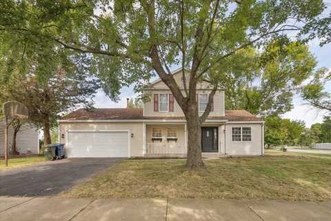 2042 University Drive, Naperville, IL 60565