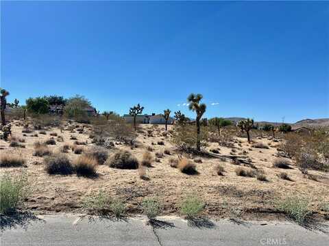 0 Sunny Vista Road, Joshua Tree, CA 92252