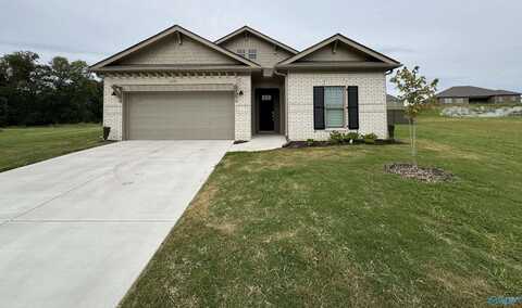 229 Waylan Ridge Lane, Madison, AL 35757