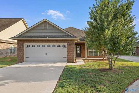 13767 Glendorch Lane, Athens, AL 35613