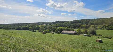 58.71+/- Acres County Road 91, Bryant, AL 35958