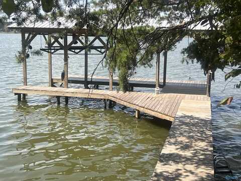 975 County Road 251, Cedar Bluff, AL 35959
