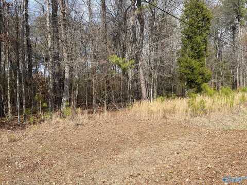 Lot 4 Indian Lake Drive, Rainbow City, AL 35906