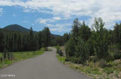 1039 Timbernook, Williams, AZ 86046