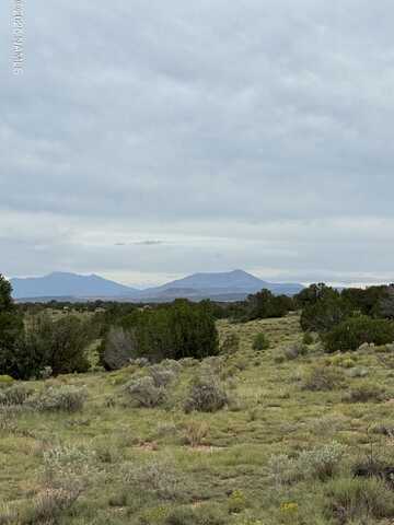 404 S Kings Hill Drive, Williams, AZ 86046