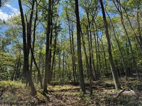 71 Trout Pass, Lost River, WV 26810