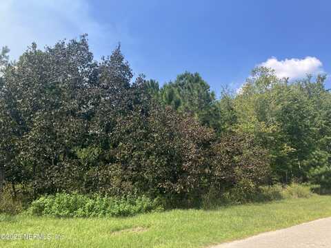 COUNTY RD 217, Jacksonville, FL 32234