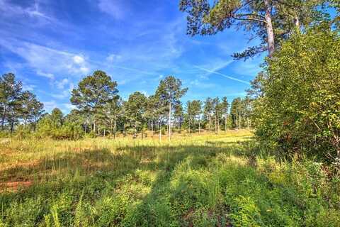 127 Hillside Lane, Ellijay, GA 30540