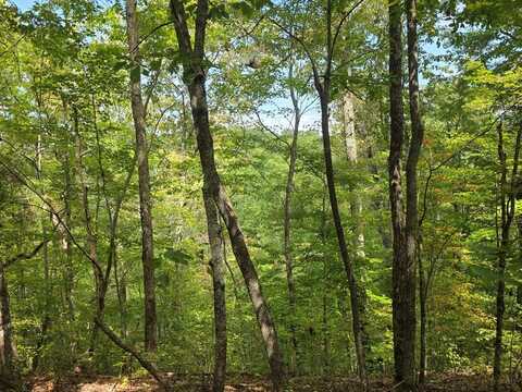 1077 Harris Creek Drive, Ellijay, GA 30540