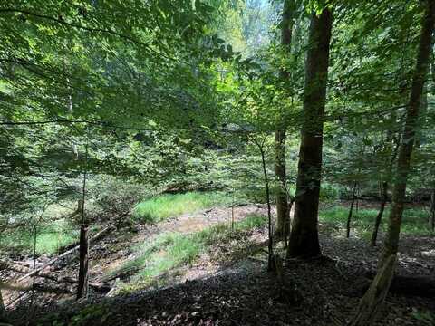 Lot 223 Bowline Drive, Ellijay, GA 30540