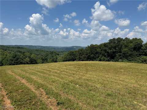 Township Road 312, Millersburg, OH 44654