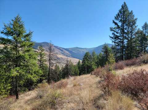 TBD LONE RANCH RD, DANVILLE, WA 99121