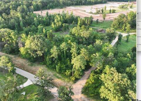 Lot 10 CR 2123, Whitehouse, TX 75791