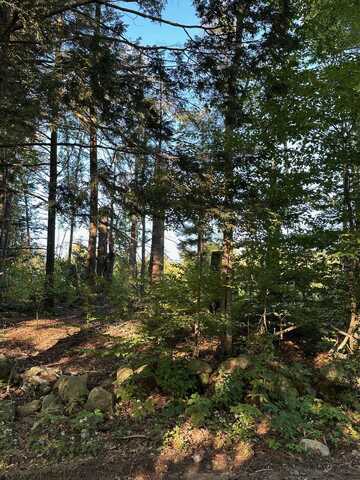00 Berry Road, New Durham, NH 03855