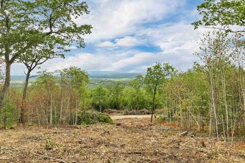 0 Long Stack Lane, Wolfeboro, NH 03894