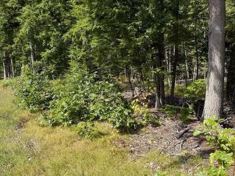 Pine Street, Hopkinton, NH 03229