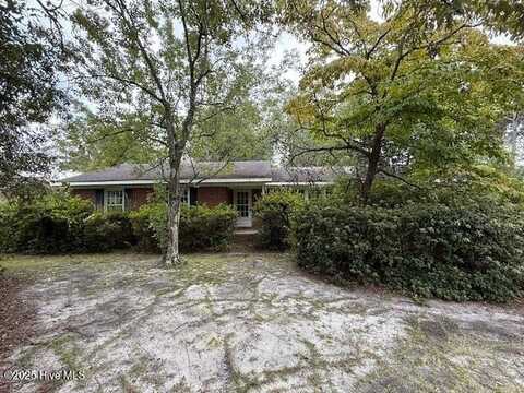 313 Mohican Trail, Wilmington, NC 28409