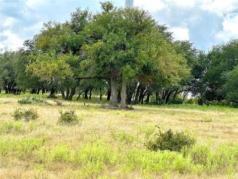 Tbd! County RD 325, Goldthwaite, TX 76844