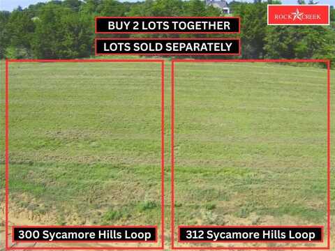 312 Sycamore Hills Loop, Gordonville, TX 76245