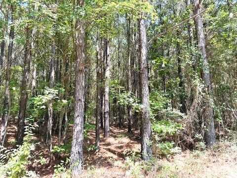 000 Highway 79 Highway, Homer, LA 71040