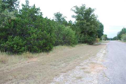 18049 Southhill Drive, Whitney, TX 76692
