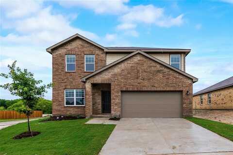 828 Peach Tree Lane, Anna, TX 75409