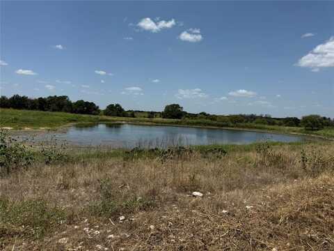 Tbd FM 218, Indian Gap, TX 76531