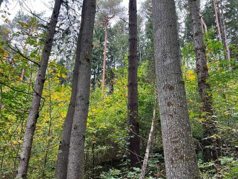 00 Garlock Hollow Rd, Bradford, PA 16701
