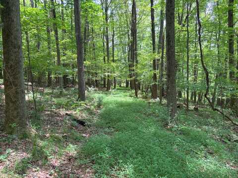 North Fork Dam Road, Boswell, PA 15531