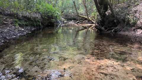 0 Corbit Blvd, Mc Lain, MS 39456