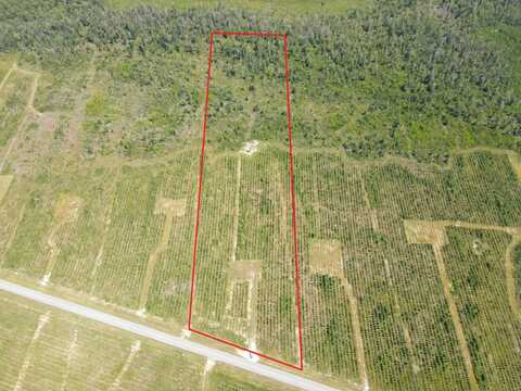 19597 NW Doug Price Rd., Blountstown, FL 32424