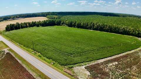 0 Old 125 Highway, Scotland Neck, NC 27874