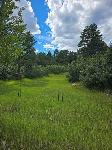 No Site Address, Rye, CO 81069