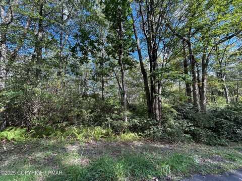 Lot 12 Rhododendron Road, Jim Thorpe, PA 18229