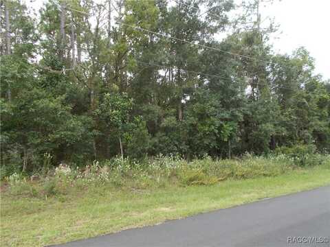 370 E LIBERTY Street, Hernando, FL 34442
